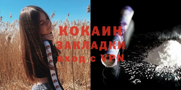 spice Аркадак