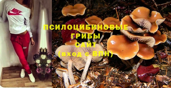 скорость Арсеньев